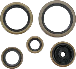 Moose Engine Oil Seal Kit