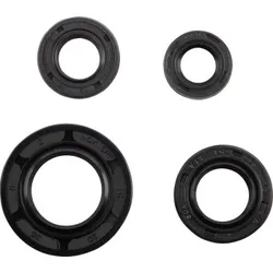 Moose Racing Engine Oil Seal Kit