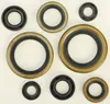 Vertex Oil Seal Kit