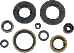 Moose Engine Oil Seal Kit