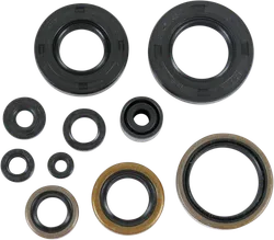 Moose Engine Oil Seal Kit