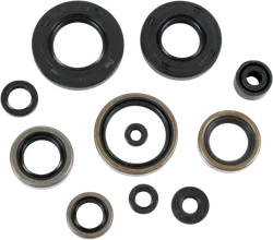 Moose Engine Oil Seal Kit