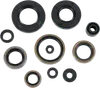 Moose Engine Oil Seal Kit