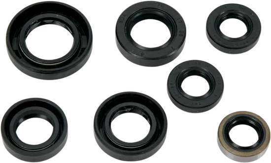 Moose Engine Oil Seal Kit