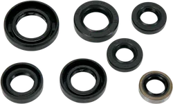 Moose Engine Oil Seal Kit