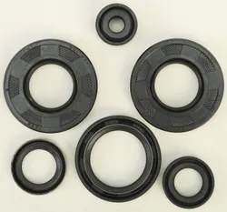Vertex Oil Seal Kit