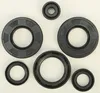 Vertex Oil Seal Kit
