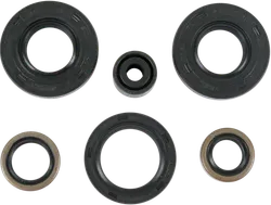 Moose Engine Oil Seal Kit