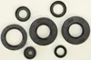 Vertex Oil Seal Kit
