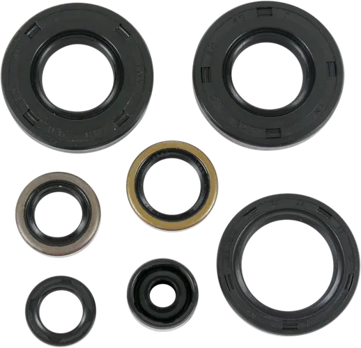 Moose Engine Oil Seal Kit