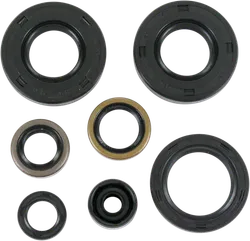 Moose Engine Oil Seal Kit