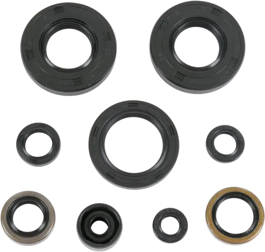 Moose Engine Oil Seal Kit