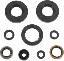 Moose Engine Oil Seal Kit