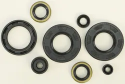 Vertex Oil Seal Kit