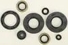 Vertex Oil Seal Kit