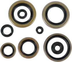 Moose Engine Oil Seal Kit