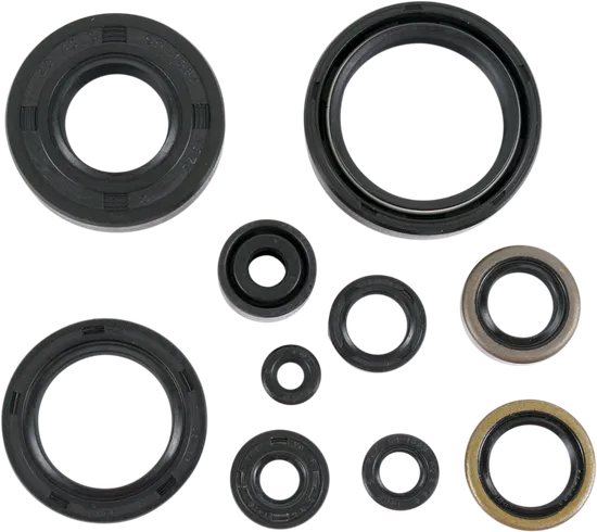Moose Engine Oil Seal Kit