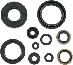 Moose Engine Oil Seal Kit