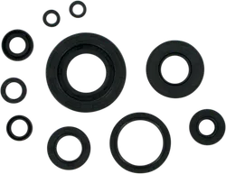 Moose Engine Oil Seal Kit