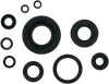 Moose Engine Oil Seal Kit