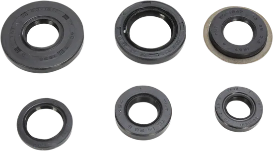 Moose Engine Oil Seal Kit