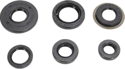 Moose Engine Oil Seal Kit