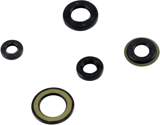 Moose Engine Oil Seal Kit