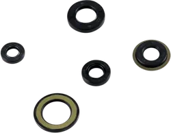 Moose Engine Oil Seal Kit