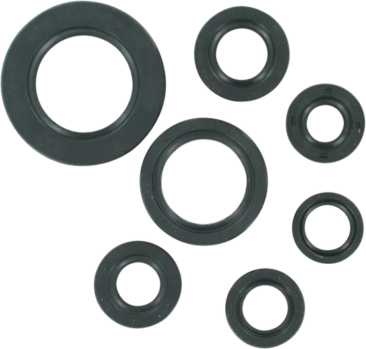 Moose Engine Oil Seal Kit