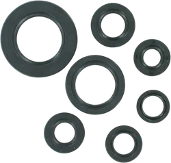 Moose Engine Oil Seal Kit