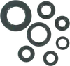 Moose Engine Oil Seal Kit