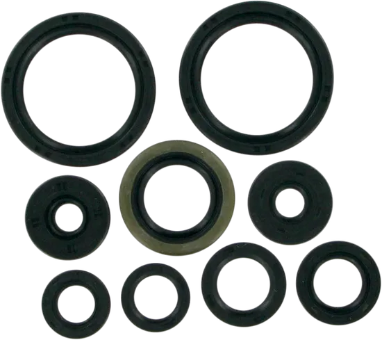 Moose Engine Oil Seal Kit