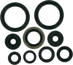 Moose Engine Oil Seal Kit