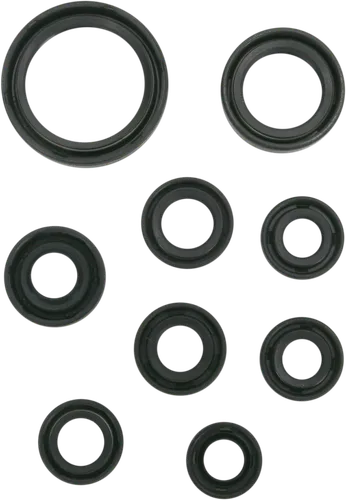 Moose Engine Oil Seal Kit