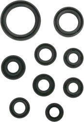 Moose Engine Oil Seal Kit