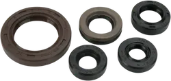Moose Engine Oil Seal Kit