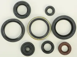 Vertex Oil Seal Kit