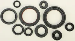 Vertex Oil Seal Kit