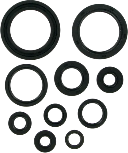 Moose Engine Oil Seal Kit