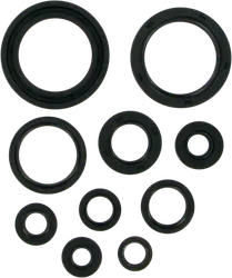 Moose Engine Oil Seal Kit