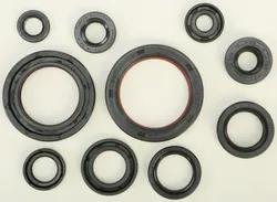 Vertex Oil Seal Kit