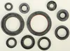 Vertex Oil Seal Kit
