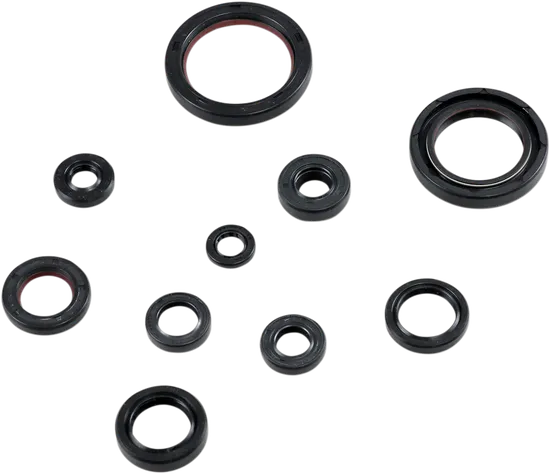 Moose Engine Oil Seal Kit