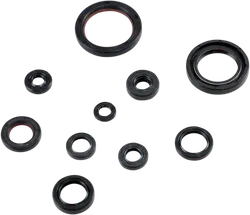 Moose Engine Oil Seal Kit