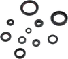 Moose Engine Oil Seal Kit