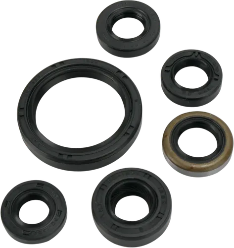 Moose Engine Oil Seal Kit