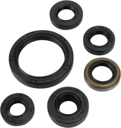 Moose Engine Oil Seal Kit