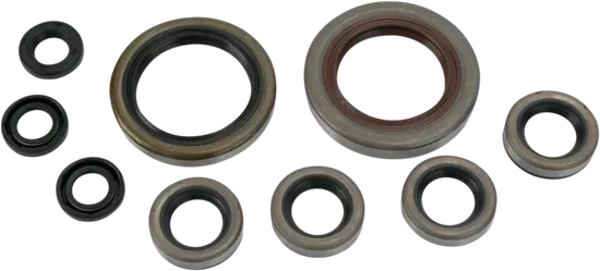 Moose Engine Oil Seal Kit