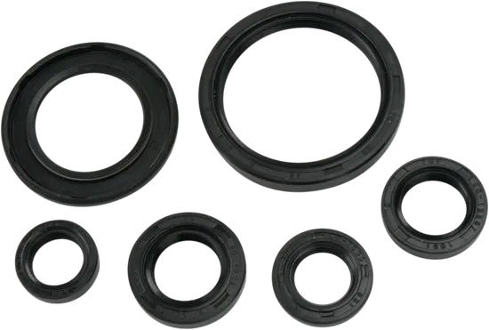Moose Engine Oil Seal Kit
