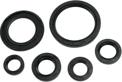 Moose Engine Oil Seal Kit